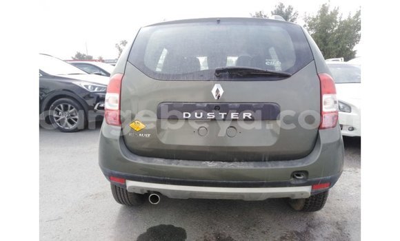 Buy Import Renault Duster Green Car in Import - Dubai in Ethiopia