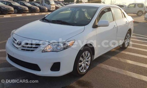 Buy Import Toyota Corolla White Car in Import - Dubai in Ethiopia Buy Import Toyota Corolla White Car in Import - Dubai in Ethiopia