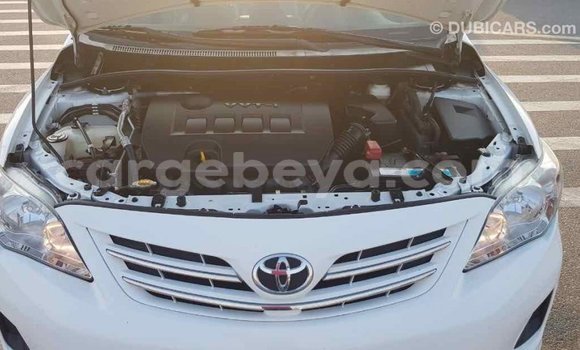 Buy Import Toyota Corolla White Car in Import - Dubai in Ethiopia Buy Import Toyota Corolla White Car in Import - Dubai in Ethiopia