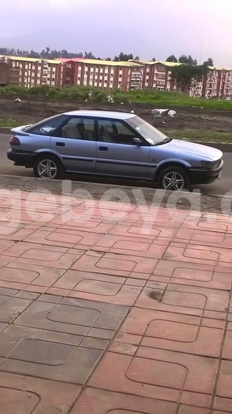 Big with watermark 14322753 152041765249206 4084601271133145777 n