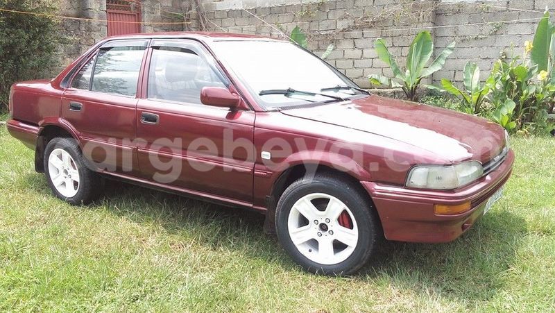 Big with watermark 14322753 152041765249206 4084601271133145777 n