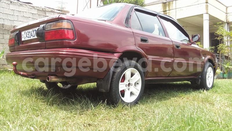 Big with watermark 14344360 195243170887525 1476089703380270021 n