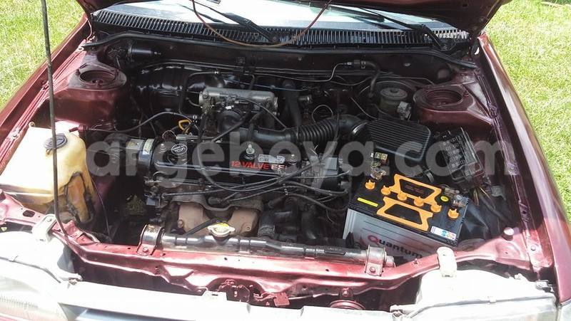 Big with watermark 14355616 1652943051684902 3641046762615807478 n