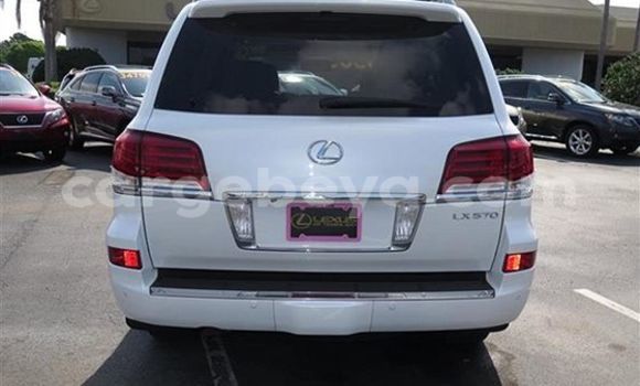 Buy New Lexus LX White Car in Addis–Ababa in Ethiopia Buy New Lexus LX White Car in Addis–Ababa in Ethiopia