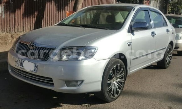 Oofamaa Toyota Corolla Silver Makiinaa iti Addis–Ababa keessatti Ethiopia keessatti Oofamaa Toyota Corolla Silver Makiinaa iti Addis–Ababa keessatti Ethiopia keessatti