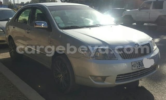 Oofamaa Toyota Corolla Silver Makiinaa iti Addis–Ababa keessatti Ethiopia keessatti Oofamaa Toyota Corolla Silver Makiinaa iti Addis–Ababa keessatti Ethiopia keessatti