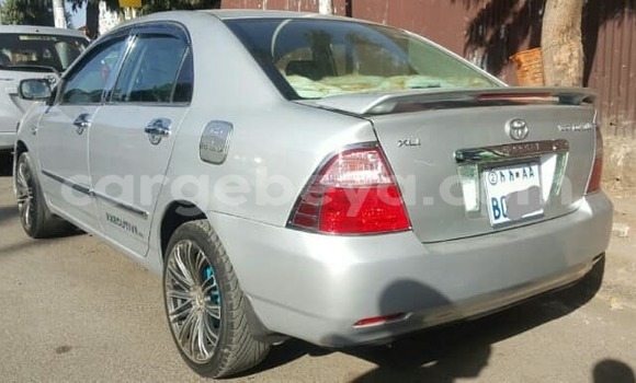 Oofamaa Toyota Corolla Silver Makiinaa iti Addis–Ababa keessatti Ethiopia keessatti Oofamaa Toyota Corolla Silver Makiinaa iti Addis–Ababa keessatti Ethiopia keessatti