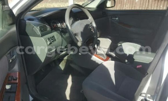 Oofamaa Toyota Corolla Silver Makiinaa iti Addis–Ababa keessatti Ethiopia keessatti Oofamaa Toyota Corolla Silver Makiinaa iti Addis–Ababa keessatti Ethiopia keessatti