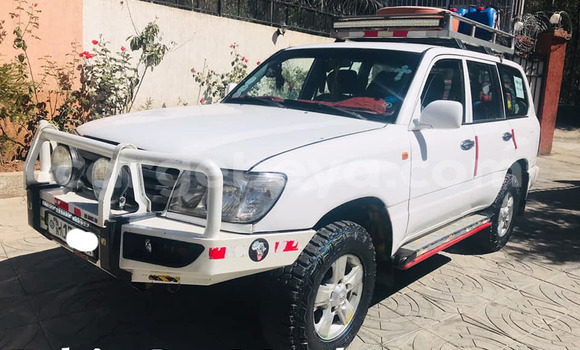 Buy Used Toyota Land Cruiser White Car in Addis–Ababa in Ethiopia Buy Used Toyota Land Cruiser White Car in Addis–Ababa in Ethiopia