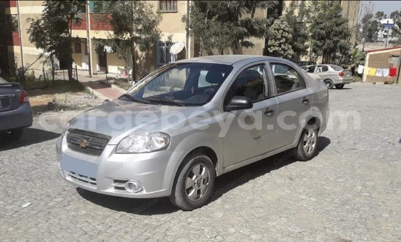 Buy Used Chevrolet Aveo Silver Car in Addis–Ababa in Ethiopia Buy Used Chevrolet Aveo Silver Car in Addis–Ababa in Ethiopia