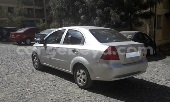 Buy Used Chevrolet Aveo Silver Car in Addis–Ababa in Ethiopia Buy Used Chevrolet Aveo Silver Car in Addis–Ababa in Ethiopia