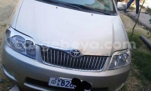 Buy Used Toyota Corolla Silver Car in Addis–Ababa in Ethiopia Buy Used Toyota Corolla Silver Car in Addis–Ababa in Ethiopia