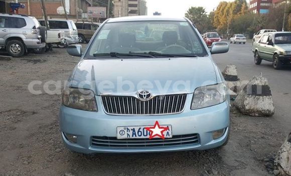 Acheter Occasion Voiture Toyota Corolla Bleu à Addis Ababa, Ethiopie Acheter Occasion Voiture Toyota Corolla Bleu à Addis Ababa, Ethiopie