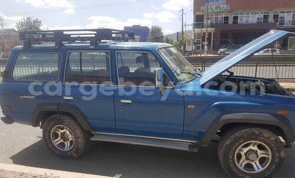 Acheter Occasion Voiture Toyota Land Cruiser Bleu à Addis Ababa, Ethiopie Acheter Occasion Voiture Toyota Land Cruiser Bleu à Addis Ababa, Ethiopie