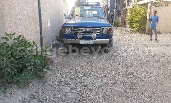 Acheter Occasion Voiture Toyota Land Cruiser Bleu à Addis Ababa, Ethiopie Acheter Occasion Voiture Toyota Land Cruiser Bleu à Addis Ababa, Ethiopie