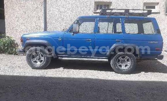 Acheter Occasion Voiture Toyota Land Cruiser Bleu à Addis Ababa, Ethiopie Acheter Occasion Voiture Toyota Land Cruiser Bleu à Addis Ababa, Ethiopie