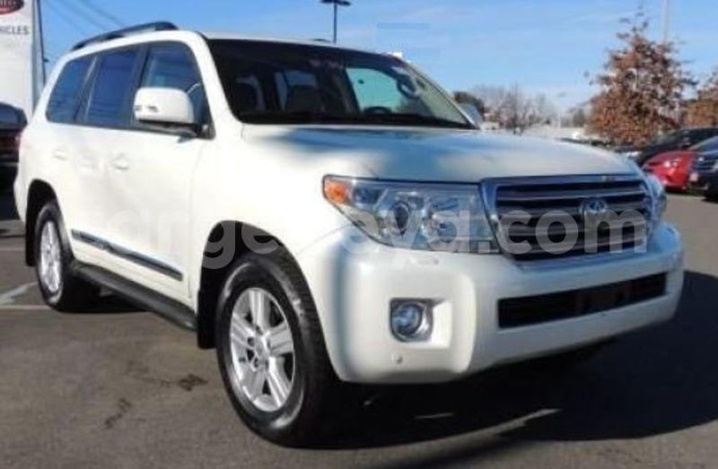 Big with watermark sideview