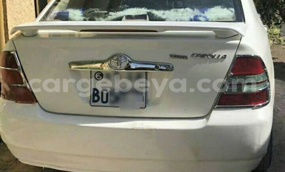 Buy Used Toyota Corolla White Car in Addis–Ababa in Ethiopia Buy Used Toyota Corolla White Car in Addis–Ababa in Ethiopia