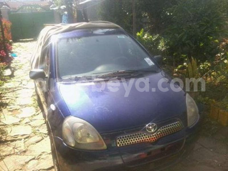 Big with watermark 15578737 1281570078576389 5086098407229006862 n