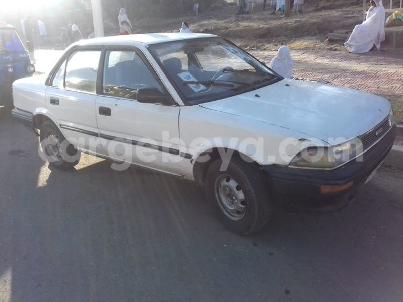 Big with watermark 15578737 1281570078576389 5086098407229006862 n