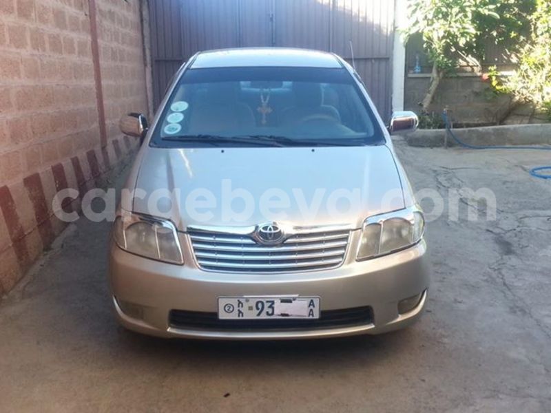 Big with watermark 15578737 1281570078576389 5086098407229006862 n