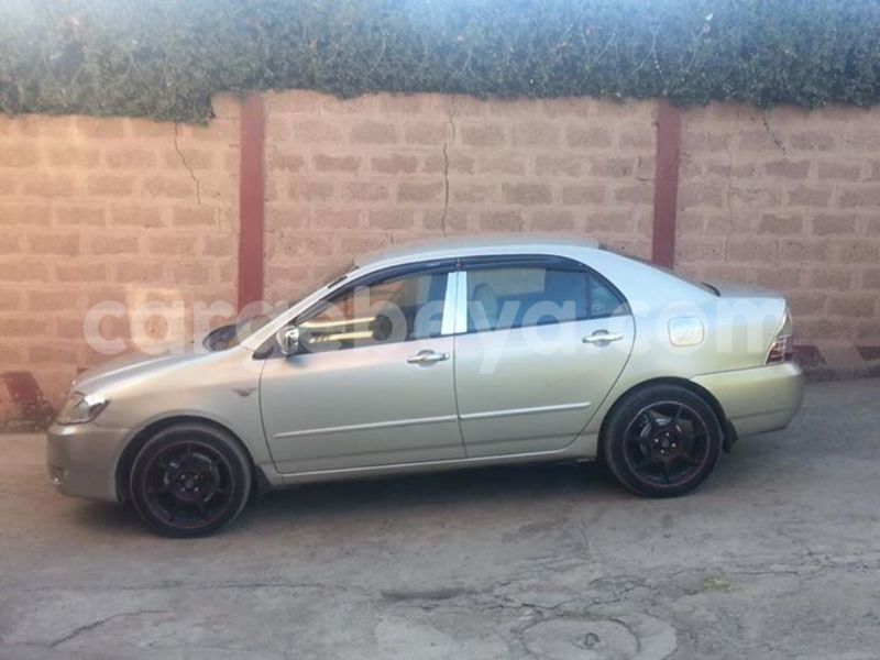 Big with watermark 15590123 1873629849587474 5620022596992670559 n