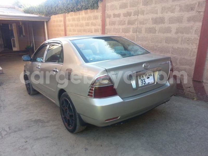 Big with watermark 16195545 964543743682119 5411391990017441485 n