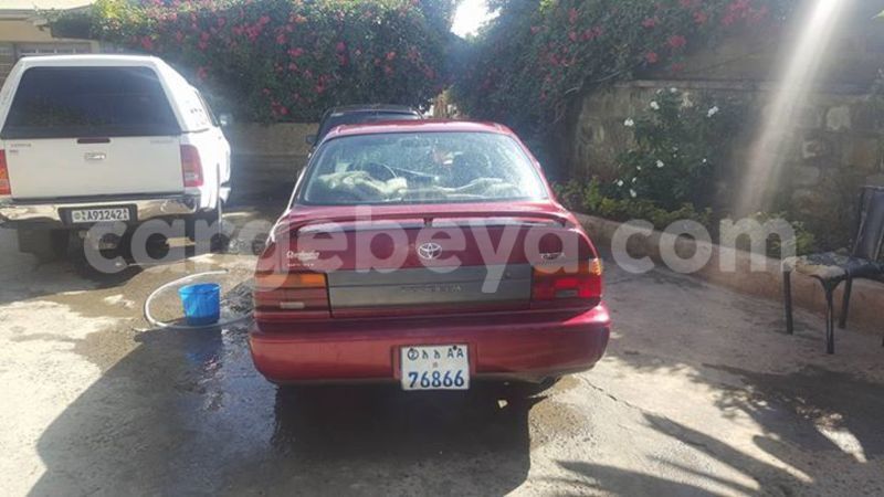 Big with watermark 15578737 1281570078576389 5086098407229006862 n