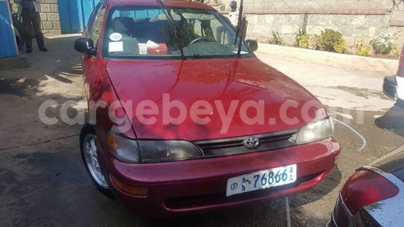 Big with watermark 15590123 1873629849587474 5620022596992670559 n