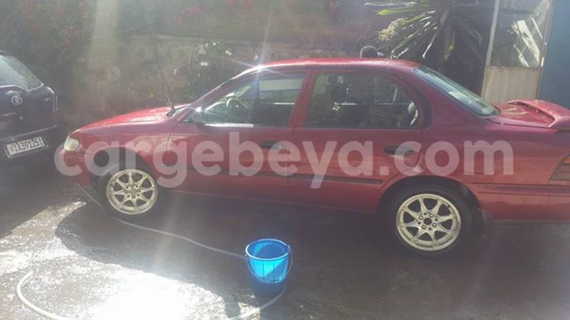 Big with watermark 16195545 964543743682119 5411391990017441485 n