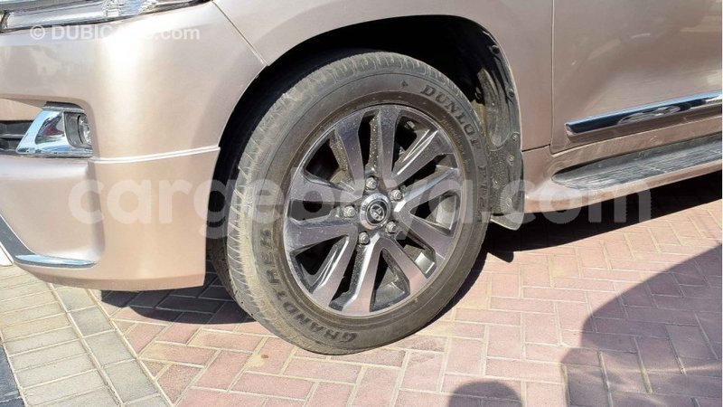 Big with watermark 0a6703cb 9dc8 4284 b59c 8573686ca60f