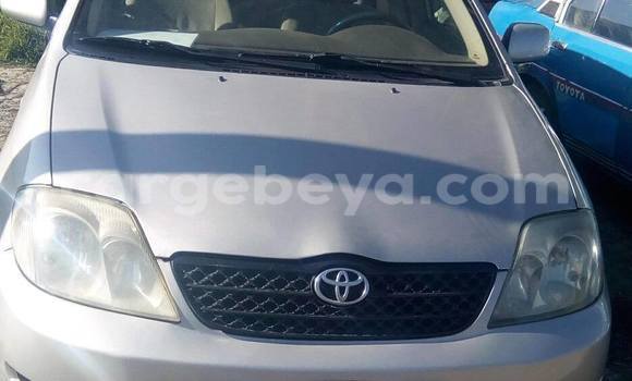 Buy Used Toyota Corolla Silver Car in Addis–Ababa in Ethiopia Buy Used Toyota Corolla Silver Car in Addis–Ababa in Ethiopia