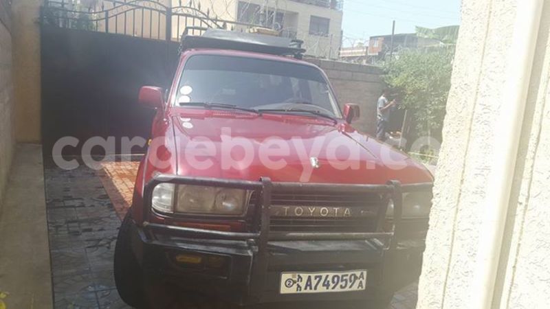 Big with watermark 15590123 1873629849587474 5620022596992670559 n