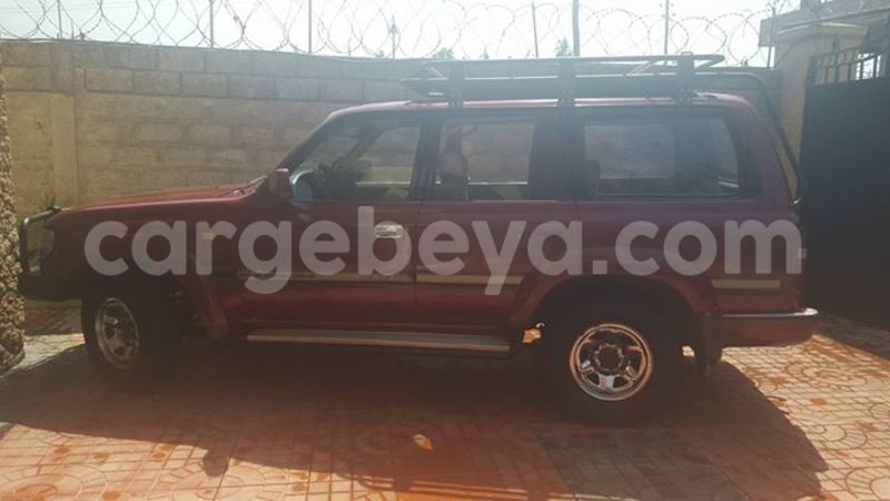 Big with watermark 16508254 1274170186008698 2940208769083644800 n