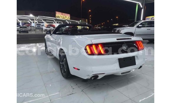 Buy Import Ford Mustang White Car in Import - Dubai in Ethiopia Buy Import Ford Mustang White Car in Import - Dubai in Ethiopia