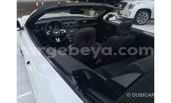 Buy Import Ford Mustang White Car in Import - Dubai in Ethiopia Buy Import Ford Mustang White Car in Import - Dubai in Ethiopia