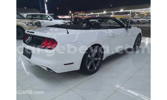 Buy Import Ford Mustang White Car in Import - Dubai in Ethiopia Buy Import Ford Mustang White Car in Import - Dubai in Ethiopia