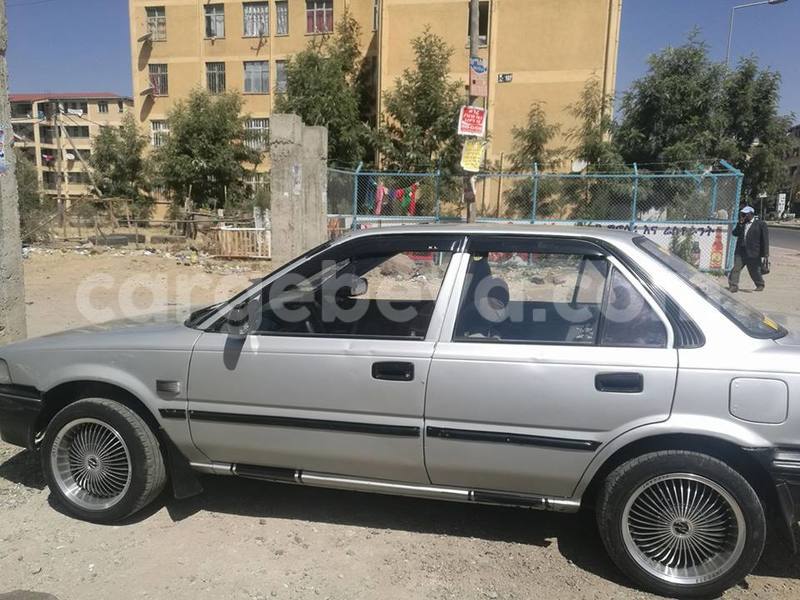 Big with watermark 15578737 1281570078576389 5086098407229006862 n