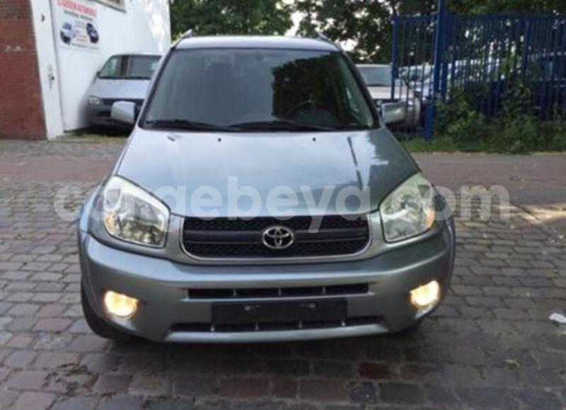 Big with watermark 15590123 1873629849587474 5620022596992670559 n