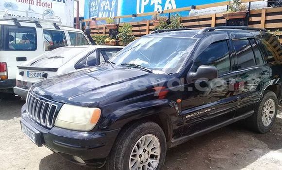 Oofamaa Jeep Cherokee Blue Makiinaa iti Addis–Ababa keessatti Ethiopia keessatti Oofamaa Jeep Cherokee Blue Makiinaa iti Addis–Ababa keessatti Ethiopia keessatti