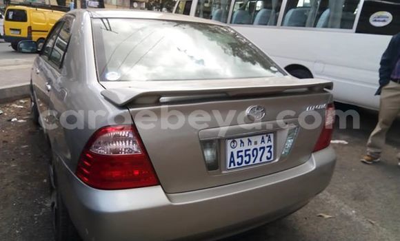 Oofamaa Toyota Corolla Beige Makiinaa iti Addis–Ababa keessatti Ethiopia keessatti Oofamaa Toyota Corolla Beige Makiinaa iti Addis–Ababa keessatti Ethiopia keessatti