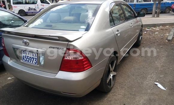 Oofamaa Toyota Corolla Beige Makiinaa iti Addis–Ababa keessatti Ethiopia keessatti Oofamaa Toyota Corolla Beige Makiinaa iti Addis–Ababa keessatti Ethiopia keessatti