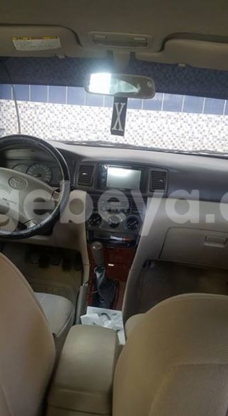 Big with watermark 16298494 1556577997703333 5880869471342312895 n