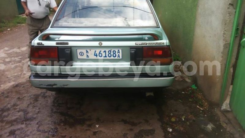 Big with watermark 15995194 1275714392474805 4908956115904413786 o