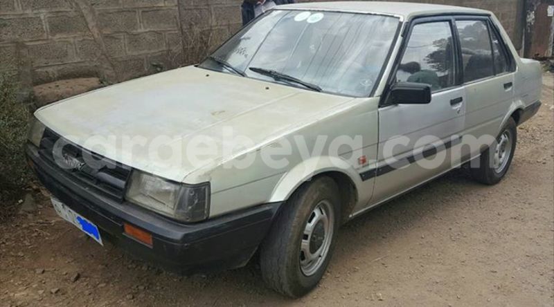 Big with watermark 16298494 1556577997703333 5880869471342312895 n