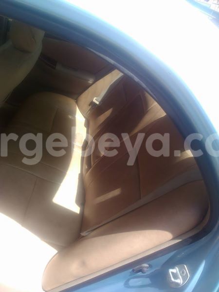 Big with watermark 16298494 1556577997703333 5880869471342312895 n