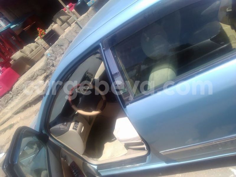 Big with watermark 16299227 1284429018289475 5943388659634541262 n