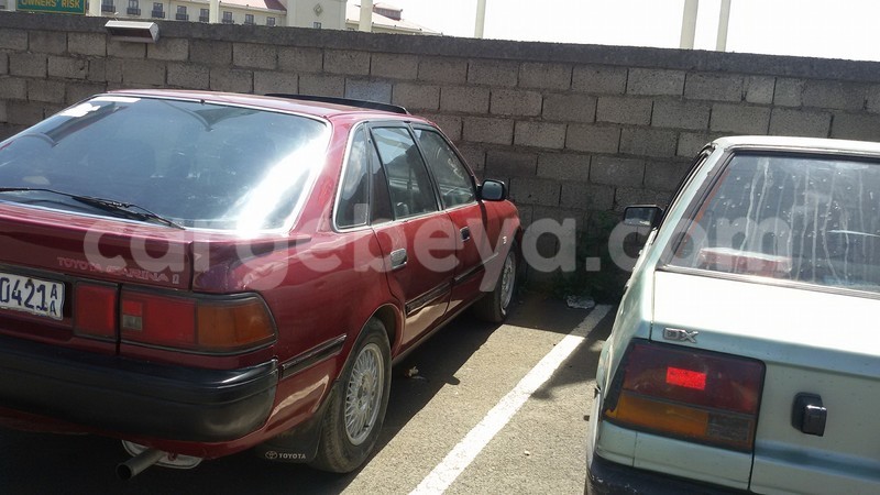 Big with watermark 16265183 1284429024956141 5754992797401084802 n