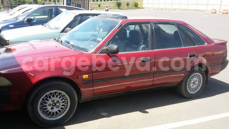 Big with watermark 16298494 1556577997703333 5880869471342312895 n