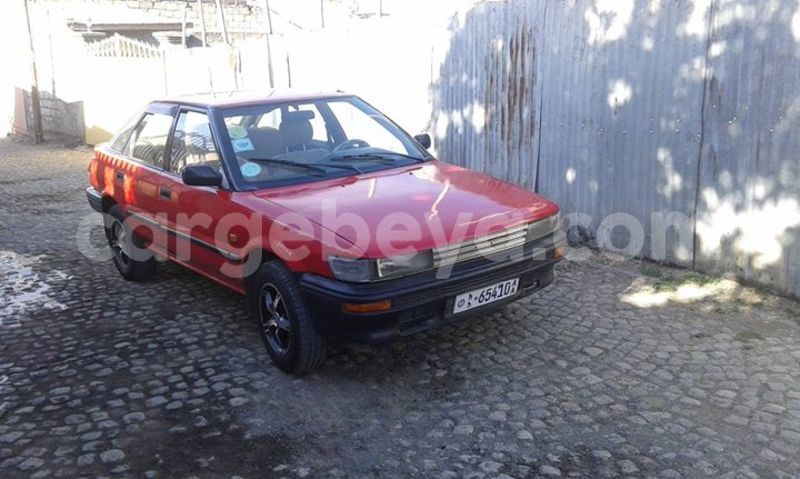 Big with watermark 16265183 1284429024956141 5754992797401084802 n